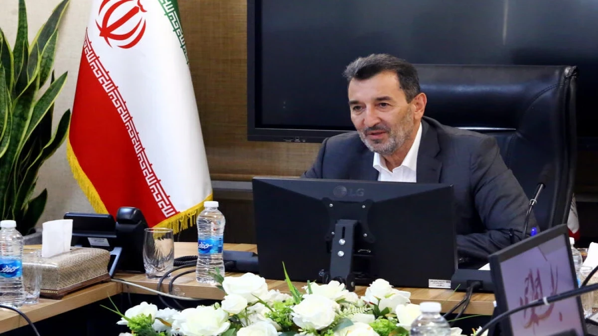 تعیین اولویت‌بندی توزیع برق پتروشیمی‌ها، صرفا با شرکت ملی صنایع پتروشیمی ایران است