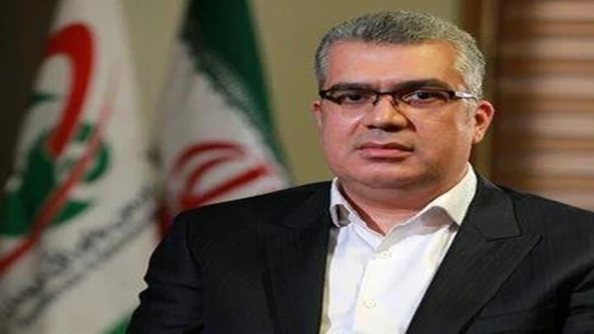 فرش دستباف میراث ماندگار ظرفیت پایدار توسعه تجارت