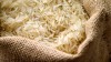 قیمت عجیب برنج هندی در آستانه ماه رمضان| هر کیلو برنج پاکستانی چند؟