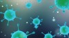 بایدها و نبایدهای پیشگیری از وبا | شیوع وبا از استان‌های غربی کشور