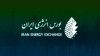 گام بلند بورس انرژی برای بهینه‌سازی مصرف؛ اولین تخصیص گواهی صرفه‌جویی گازوئیل