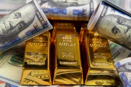دلار در محدوده ۲۰۴ هزار تومان، سکه ۲۲۳ میلیون تومان شد