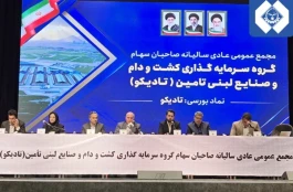جهش ۱۱۲ درصدی سود خالص تلفیقی گروه تادیکو